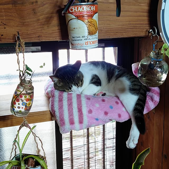 kikuさんの部屋
