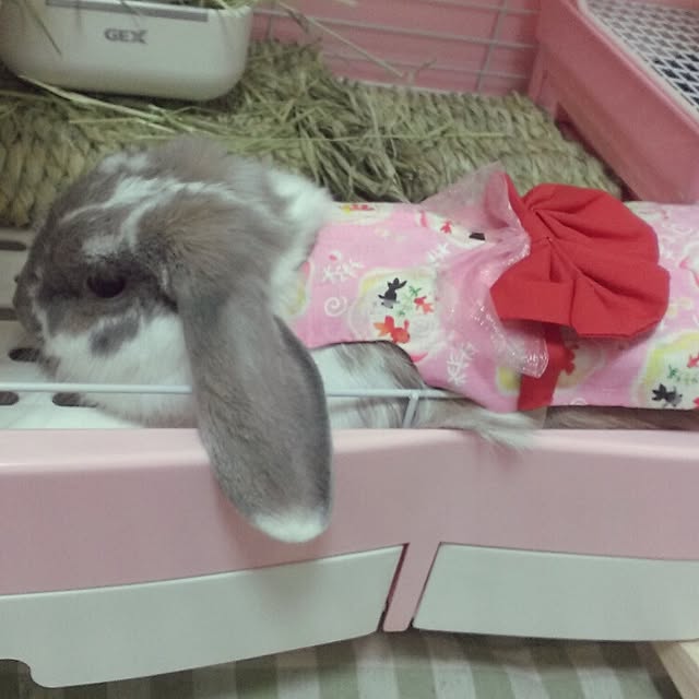 COROLさんの実例写真