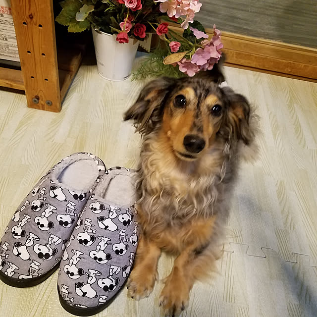 Chiさんの実例写真