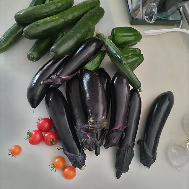 salacocoさんの実例写真