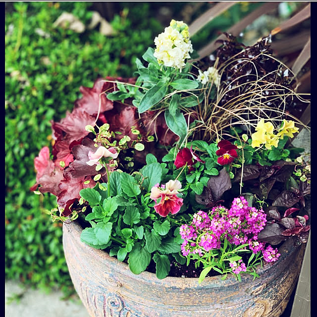yukarin-gardenさんの実例写真