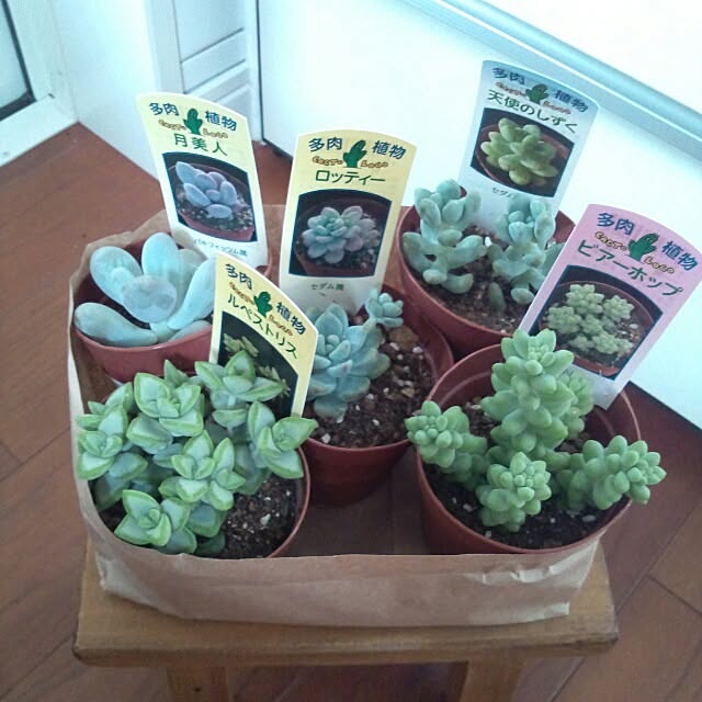 kokkomachaさんの実例写真