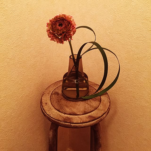 ShinjiOneLifeさんの実例写真