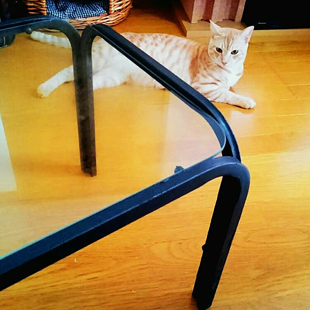 shiiiさんの実例写真