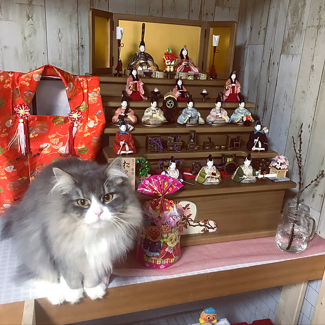 mirichipeさんの実例写真