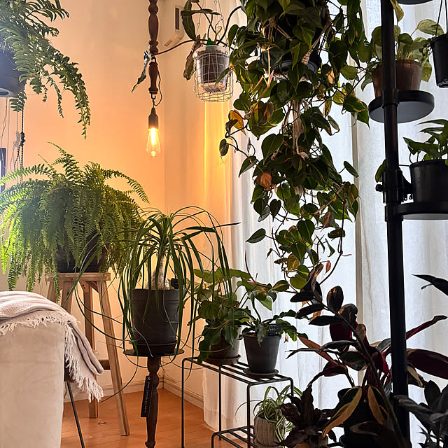 greycatsさんの実例写真