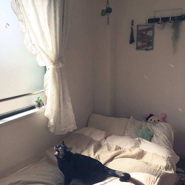 soraさんの実例写真
