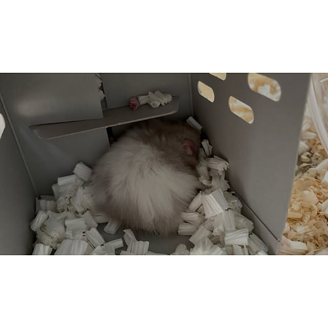 chiiiii0808さんの実例写真