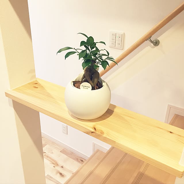hanaさんの実例写真
