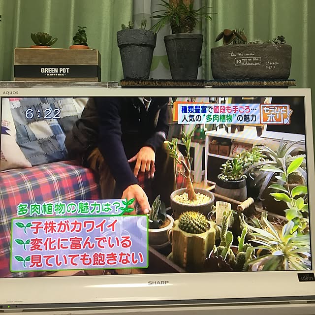tetra163さんの実例写真