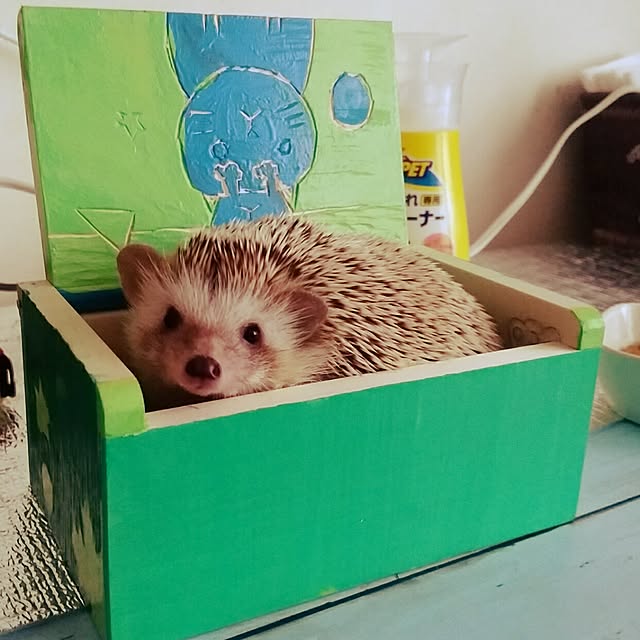 kuruさんの実例写真