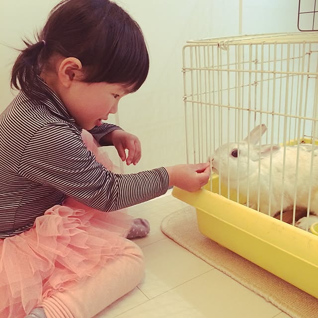 Hitomiさんの実例写真