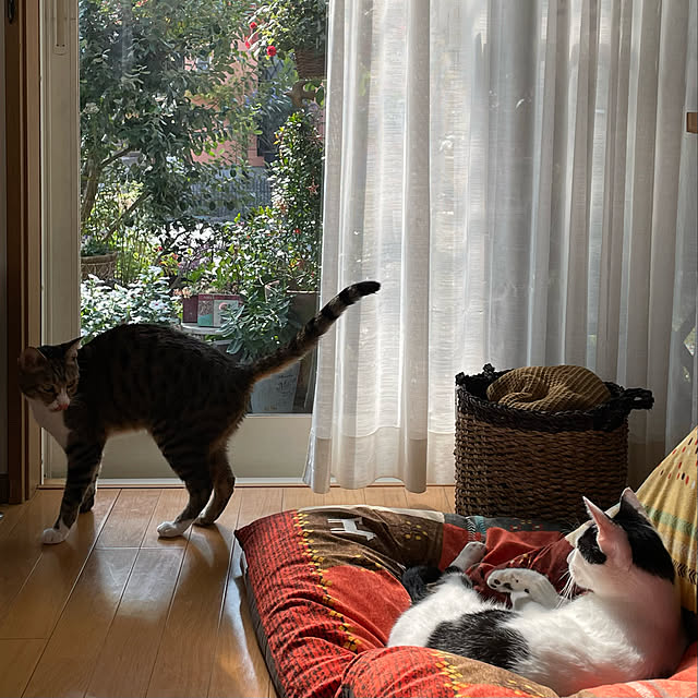 nobikoさんの実例写真