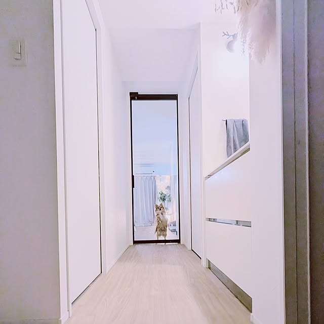 noahさんの実例写真