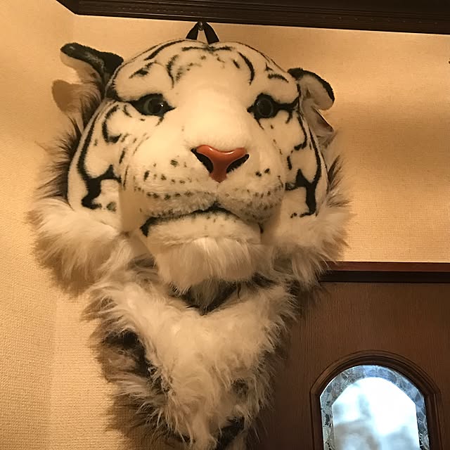 masamiさんの実例写真