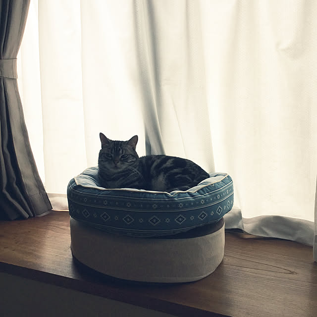richanさんの実例写真