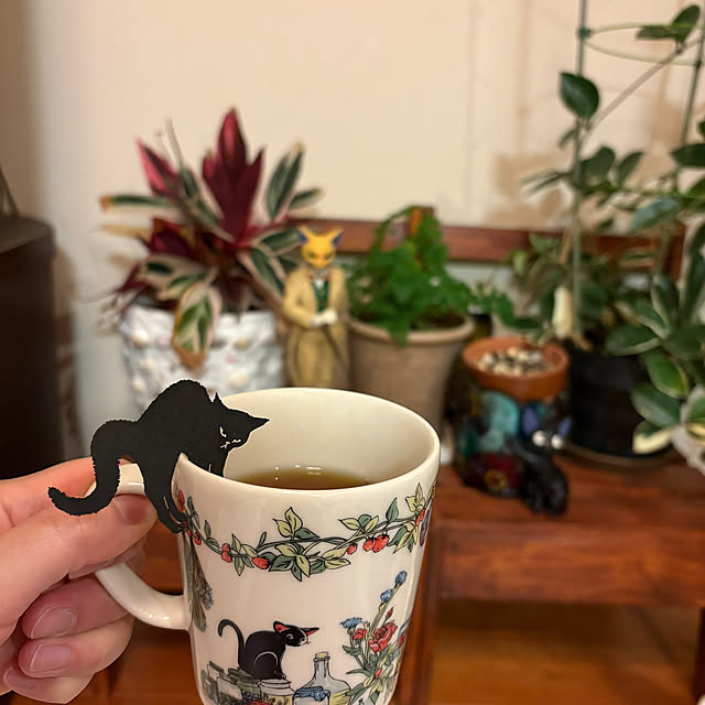 ykさんの実例写真