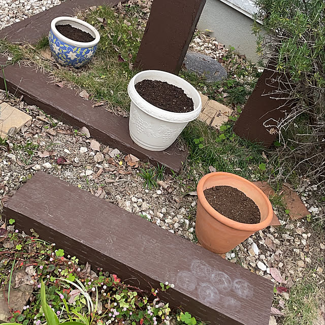 kuikoさんの部屋