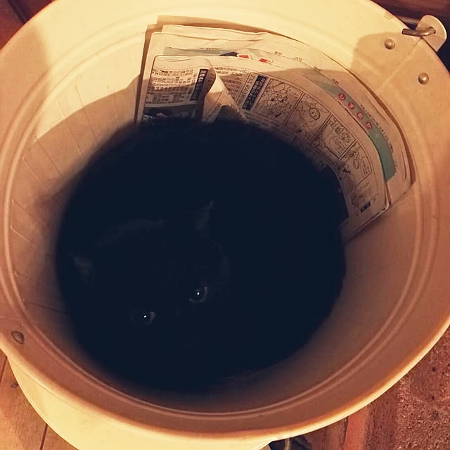 Maki-nekomamireさんの実例写真