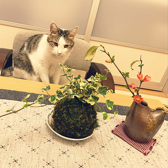 hinaさんの実例写真