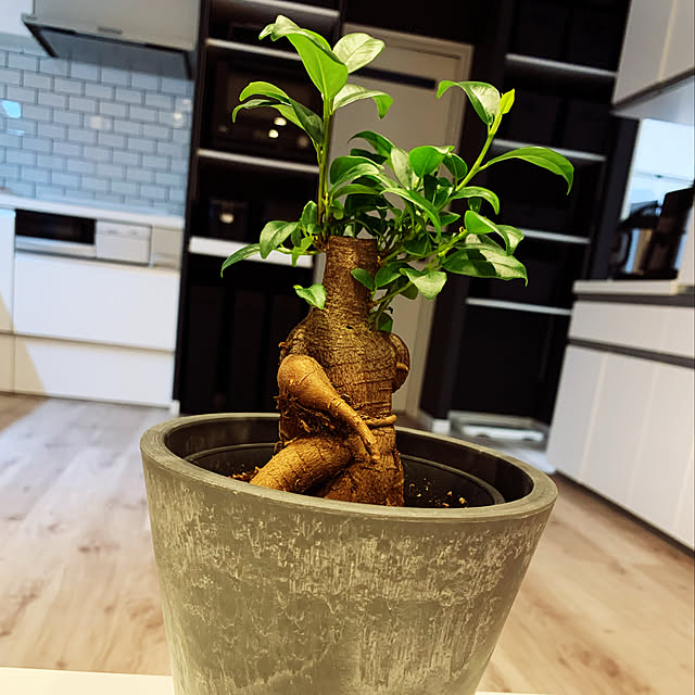 cocoさんの実例写真