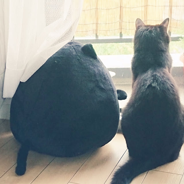 soraさんの実例写真
