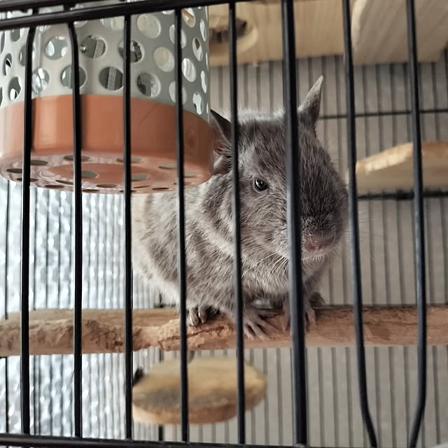 minmiさんの実例写真