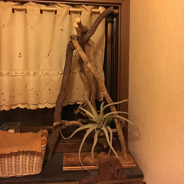 ayumiさんの実例写真