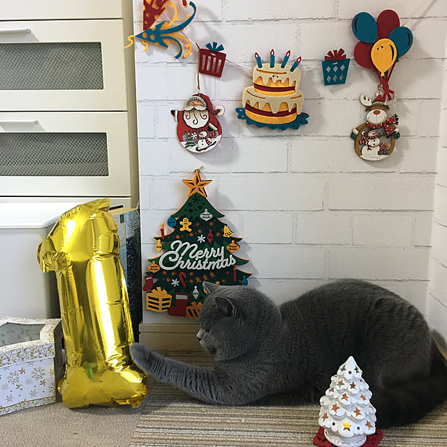 kittyさんの実例写真