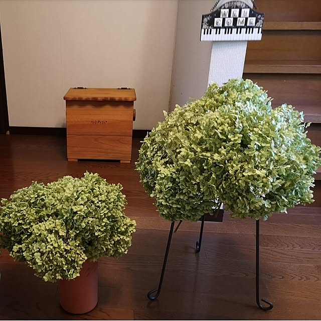 ku-garnet18さんの部屋
