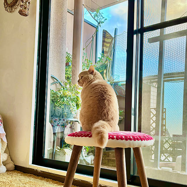 naokoさんの実例写真