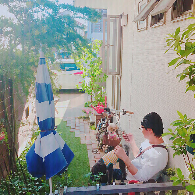 risaさんの実例写真