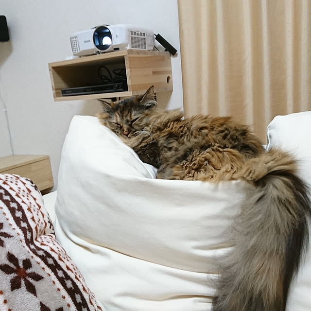 nekomajinさんの実例写真