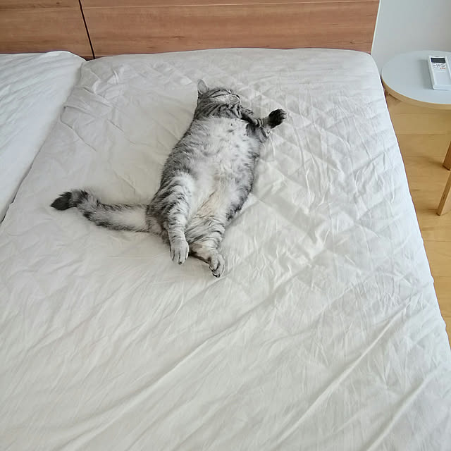 marutinoさんの実例写真