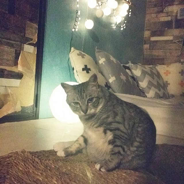 annさんの実例写真