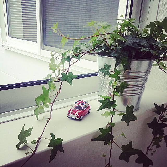 mini07さんの実例写真