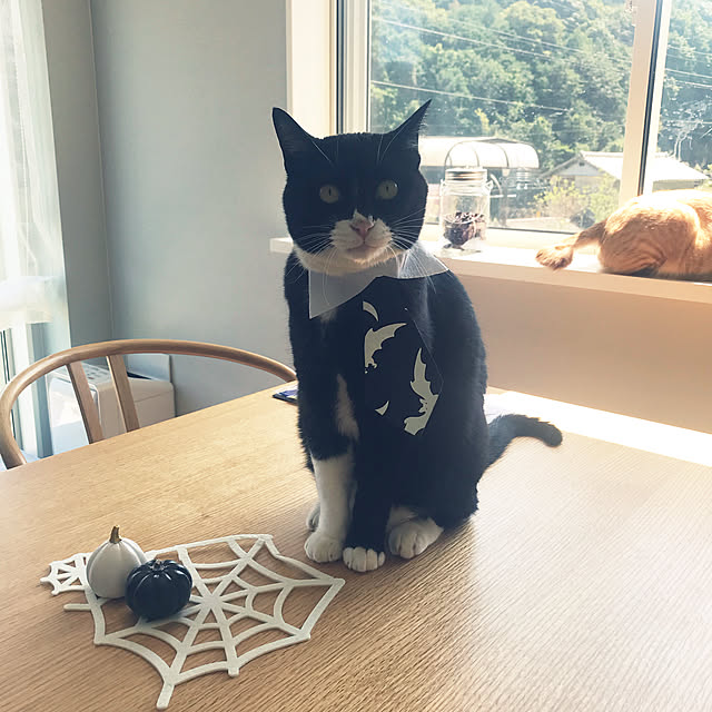 mtkさんの実例写真