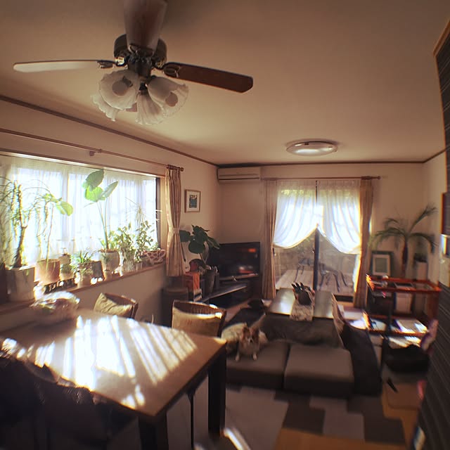 sakulaさんの実例写真
