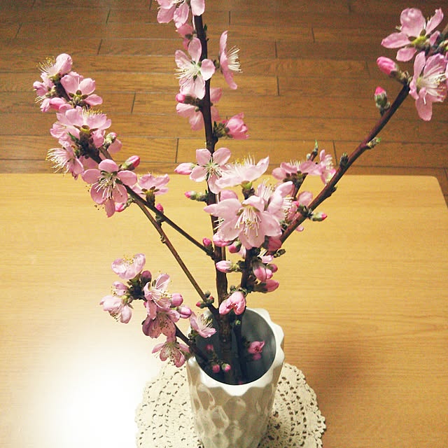 mitsutakeさんの実例写真