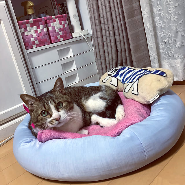 nnmmさんの実例写真