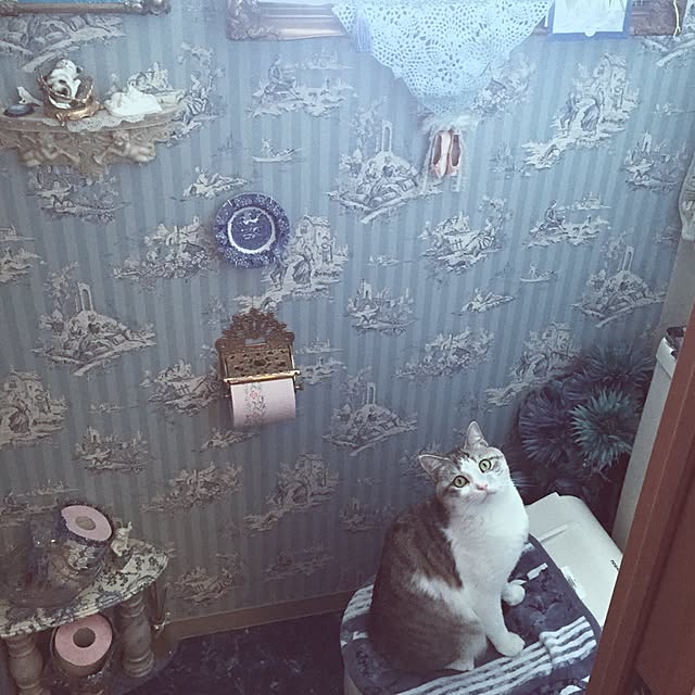 emmyyさんの実例写真
