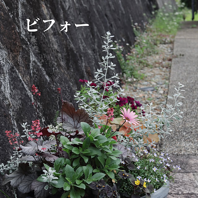 onsix777さんの実例写真