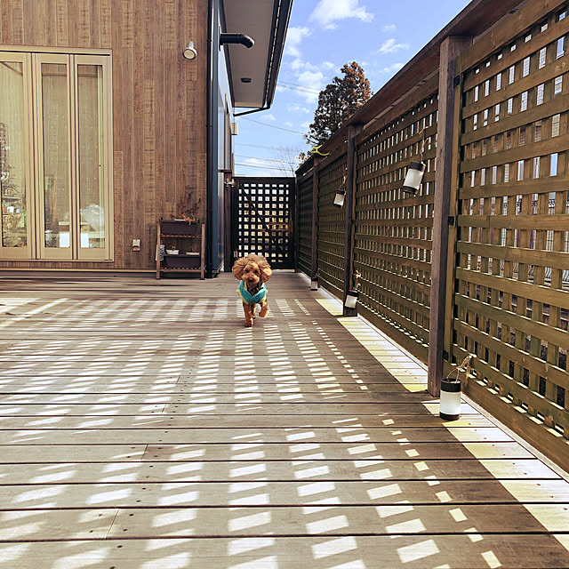 yukichi.wanwaさんの実例写真