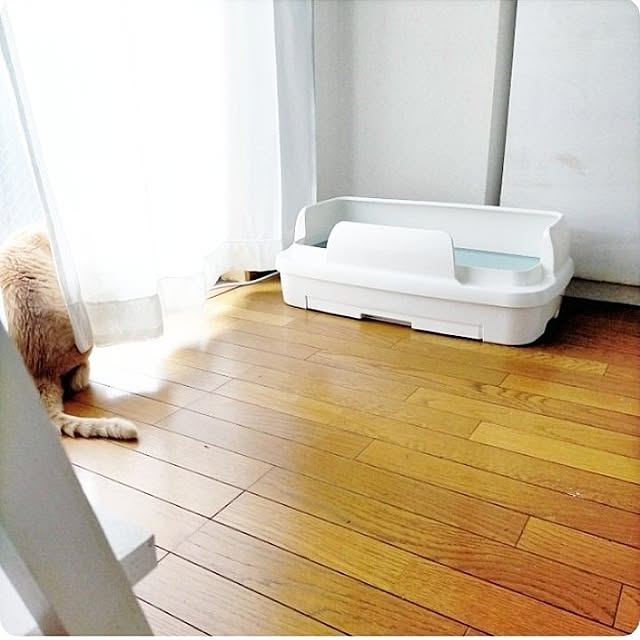 heart.emiemi57.whiteさんの実例写真