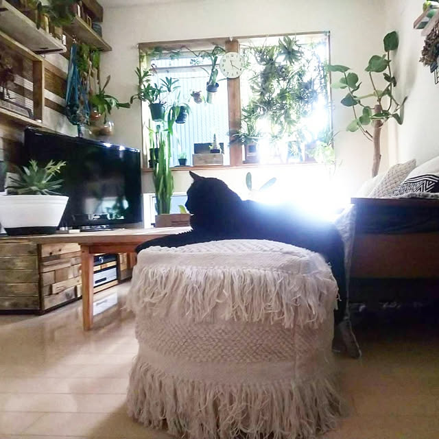 ugさんの実例写真