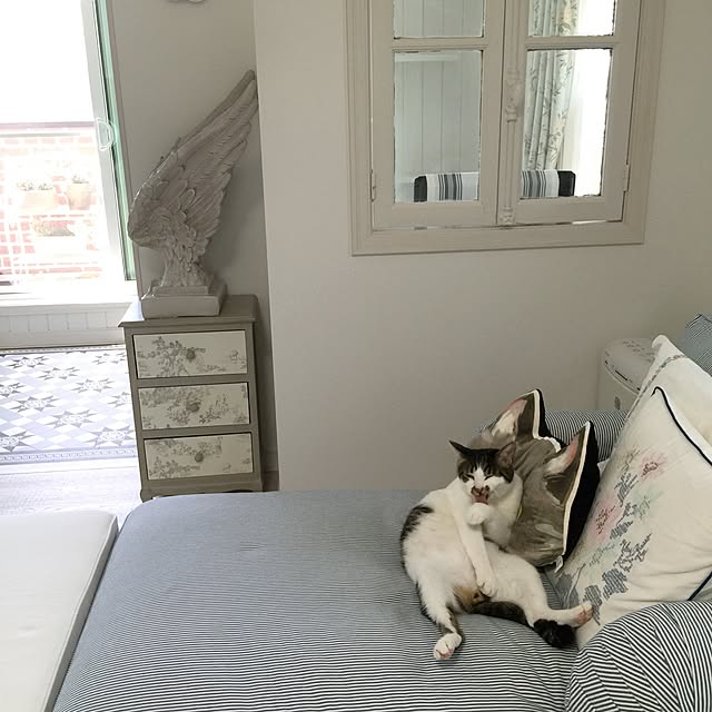yuchiさんの実例写真