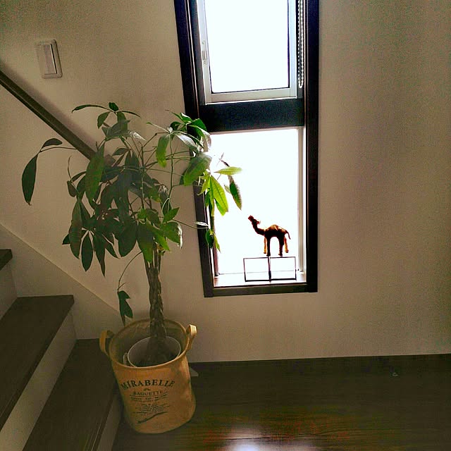 necocoさんの実例写真