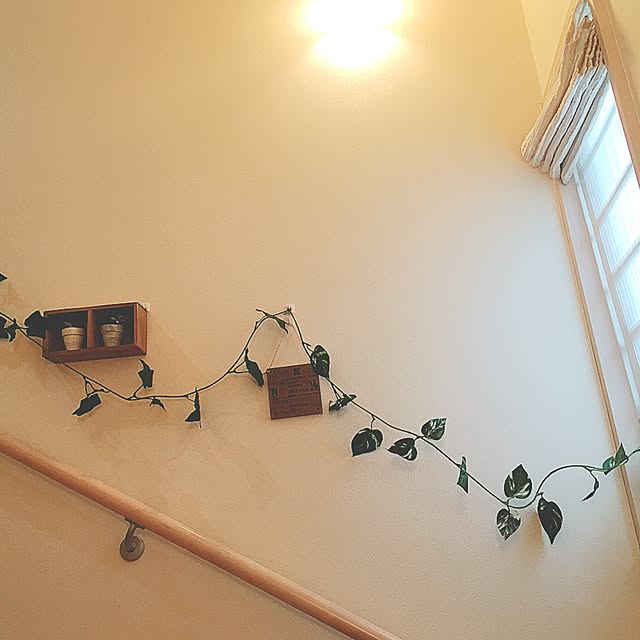 Kimikoさんの実例写真
