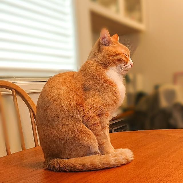 poteさんの部屋