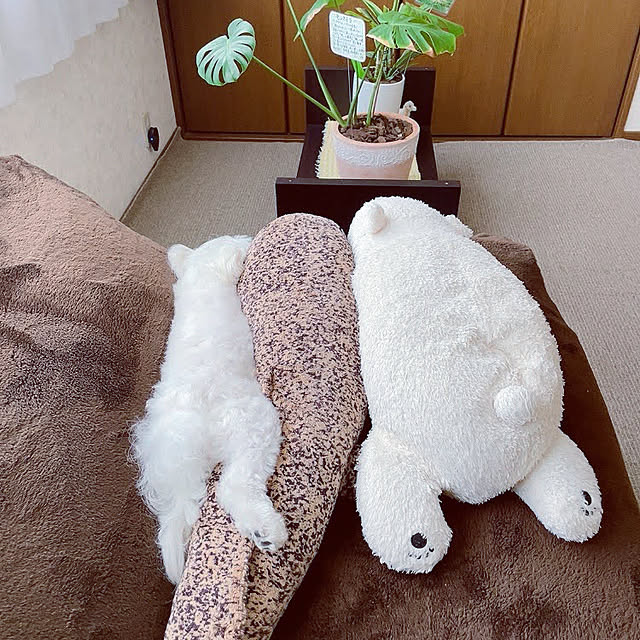 sayurinさんの実例写真